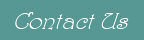 Contact Us Button